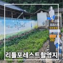 미성플라워 | 대구 군위 가볼만한 곳 영화 리틀포레스트 촬영지