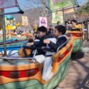 석사 비호태권도장 이미지