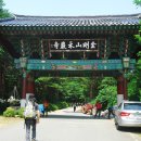 신선암 Daum카페