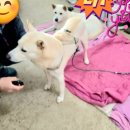 이오농장 이미지