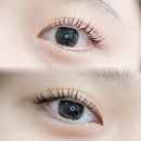 미엔느래쉬 이미지
