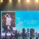 감성콘서트 IN 영덕 | 웬디 솔로 콘서트 도쿄 Day1 후기｜W:ealive in Tokyo 🩵 (일본여행 4-1)