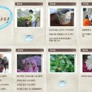 이든혜윰 이미지