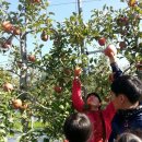 성심농원 이미지