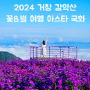갈계숲화장실 | 거창 감악산 꽃&amp;별 여행 아스타 국화 축제 기간 오전에 가야 하는 이유