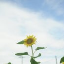 하예동-13 네이버블로그