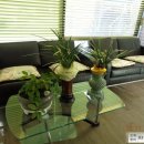 준자동차공업사 이미지