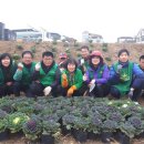 무실동 행정복지센터 이미지