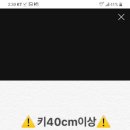 힐링독 네이버블로그