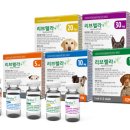 티어하임 동물병원 이미지