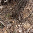 간석3동-23 이미지