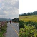 영신유원지 이미지