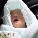 자연체계-산 | 자연 속 산후조리원 @안양 벨라산후조리원 2주 솔직 후기