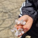 창대공인중개사사무소 이미지