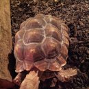 수성랜드 이미지