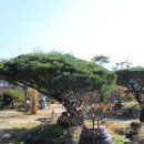 샘물농장 이미지