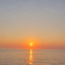 정직한정육점 - 수원시 권선구 금곡로 112 | 정직한정육점
