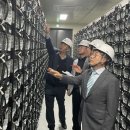 태양1 태양광발전소 아시아경제