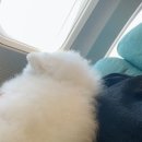 미스터 페이머스(Mr. Famous) 이미지