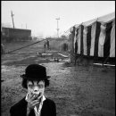 암스트롱 이미지