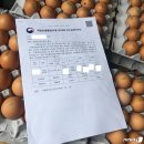 친환경농장 이미지