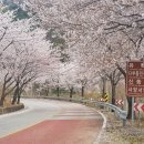 승우농원 이미지