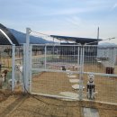 퍼피빌리티 이미지