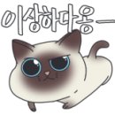 인천알라딘