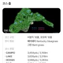 엘리시안제주CC(대중형 18홀) 이미지