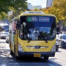 동대구광역시우체국 앞 이미지