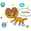 몰디브커피 이미지