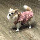 이가네 푸드 - 경산시 | 이가네 푸드