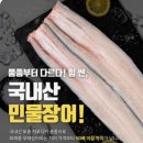 힘쎈민물장어 이미지