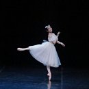 불가리아 바르나 국립발레 호두까기인형 이미지