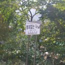 씨에스타쑤에노 이미지