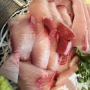 형제건어물 | [서울/노량진] 노량진수산시장 대방어 "형제상회" &amp; 초장집 "수산회관" 내돈내산 찐후기