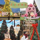 (12/17)아빠와 함께하는 크리스마스 키즈 베이킹_트리케이크 | 서울, 경기도 가볼만한곳 크리스마스 트리 모음집 🎄✨