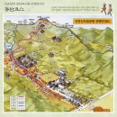 9월28일(토) 고창 선운사 &#39;꽃무릇&#39; 축제 &#39;상사화&#39; 붉은 레드카펫 !!! 이미지