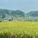 진안 hami숲 이미지