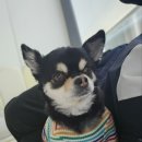 멍동댕유치원 이미지