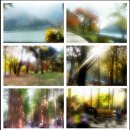 남양OK부동산공인중개사사무소 이미지