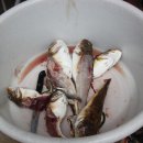 쌍다리쉼터 이미지