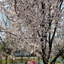 영산강대상공원2 이미지