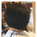 시트린헤어 이미지