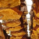 창구농장 이미지