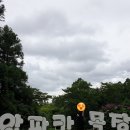 남미목장 | 제주도 애월 가볼만한곳 도치돌알파카목장 먹이주기 체험부터 감성 카페까지 솔직 후기
