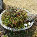 소박한바당쉼터 이미지