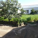 상모리-2 이미지