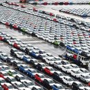 주식회사 스파크글로벌 이미지