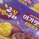 아마스빈고대안암점 | 흐름을 바꿔 죽을 듯이 힘들어도 포기하지 마